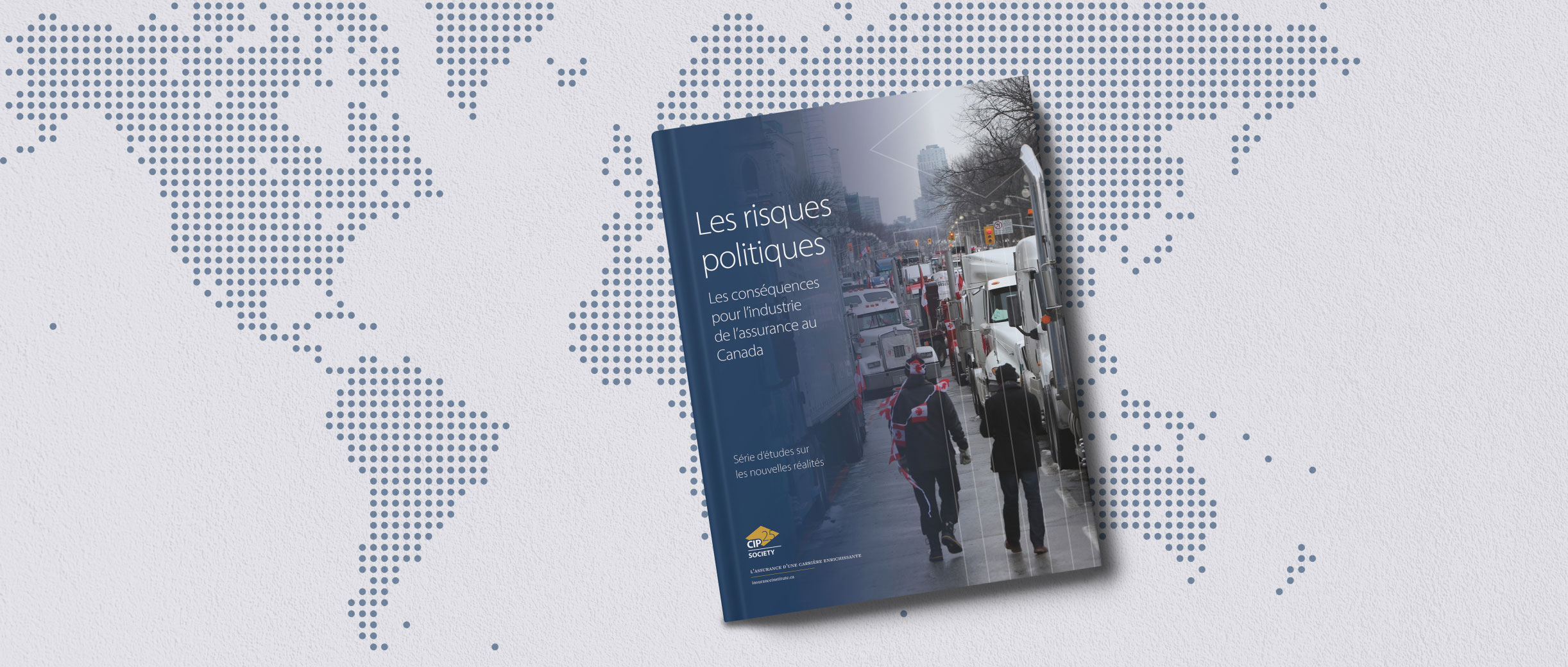 Political Risk report banner