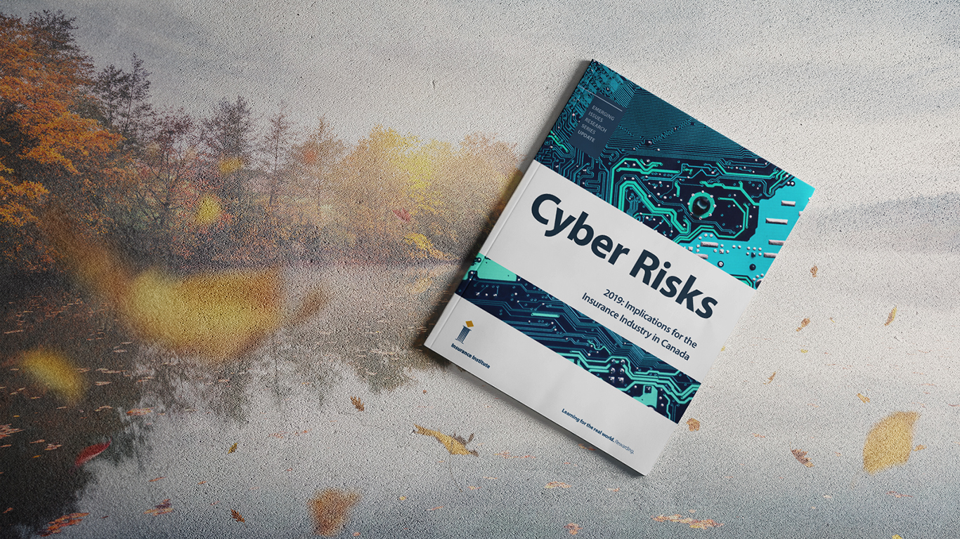Cyber risk report.