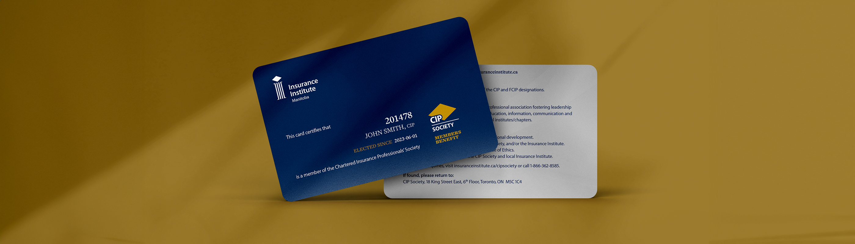 IIC business cards